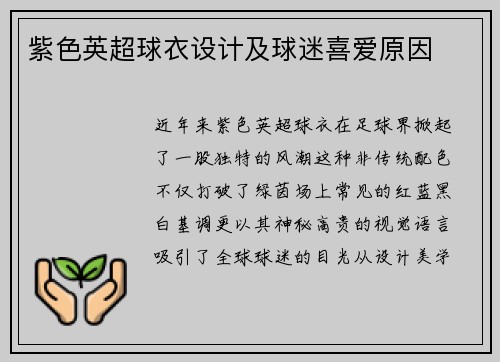 紫色英超球衣设计及球迷喜爱原因